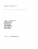 Normas de organización y distribución del espacio en la distribuidora Valente