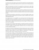 Teoría de la Arquitectura: La carrera del arquitecto