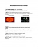 Radiologia