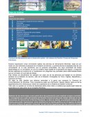 Caso de estudio dominos pizza