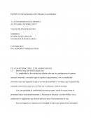 Ensayo sobre EL NUEVO PROTOCOLO DE INVESTIGACION