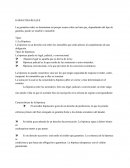 Cuales son las Garantias reales