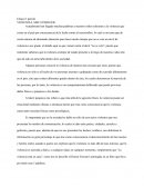 VIOLENCIA, SER O PARECER.