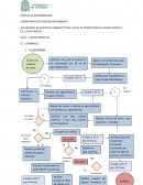Aislamiento de bacterias fermentativas: rutas de producción de ácidos mixtos y de 2,3-butanodiol