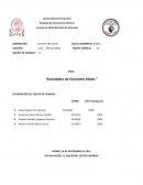 La grandes Sociedades de Economia Mixta