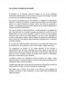 Deforestacion de bosques y selvas tropicales