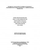 NINFORME DE LA DIVULGACIÓN DE NORMAS DE SEGURIDAD Y PROCEDIMIENTOS DE TRABAJO SEGURO DE LA COMERCIALIZADORA RAUSAN LTDA