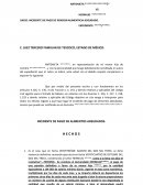 EL GRAN INCIDENTE DE PENSION ALIMENTICIA