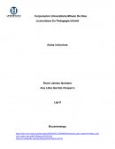 Ensayo sobre proyecto de aula