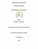 Innovaciones trabajo de campo