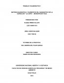 UNA NUEVA SINTESIS DIAGNOSTICA Y ELEMENTOS DEL DIAGNOSTICO DE LA CUENCA DE “LA COPA” – MUNICIPIO DE TOCA