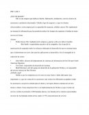 Ensayo ¿Qué está pasando?