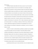 Planeta salvaje ensayo