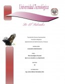 Plan Estratégico Personal Que es un consultor y su importancia