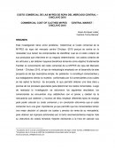 Articulo cientifico