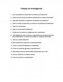 ¿Qué obligaciones tiene la empresa u organización que accede las practicas pre profesionales de un alumno universitario en calidad de practicante?