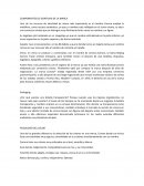 Componentes de Identidad de la Marca