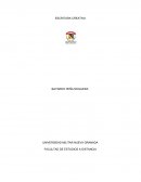 LA NUEVA REVISION PROBLEMA ADMINISTRATIVO