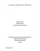 EVOLUCION DE LAS EMPRESAS EN LOS ULTIMOS 5 AÑOS
