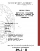 ESTUDIO DEL CONSUMO DE GASEOS EN LAS FAMILIAS DEL DISTRITO DEL SAN JUAN DE LURIGANCHO