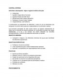 EJEMPLO CONTROL INTERNO