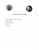 Actividad De Metacognición (ABP)