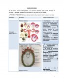 Que son los Embriogénesis