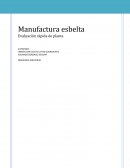 Evaluacion rapida de planta