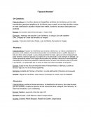 Que Tipos de Novela existen