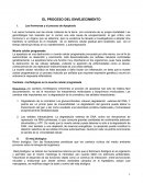 EL PROCESO DEL ENVEJECIMIENTO