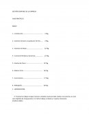 LA ESPAÑOLA DE COMPONENTES S.A.