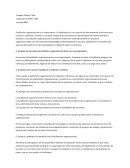 Facilitacion organizacional