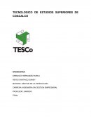 TODO ACERCA DE EL TECNOLOGICO DE ESTUDIOS SUPERIORES DE COACALCO
