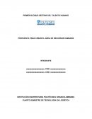 CREACIÓN DEL ÁREA DE RECURSOS HUMANOS