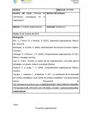 Técnicas de intervención psicológicas en la organización