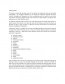 El profesional reflexivo