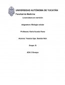NUTRIENTES; ESENCIALES PARA EL FUNCIONAMIENTO DE LAS CÉLULAS