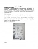 Arca feria de trabajo