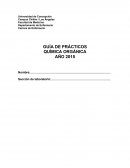 GUÍA DE PRÁCTICOS QUÍMICA ORGÁNICA
