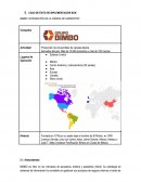 Caso de Éxito - Bimbo