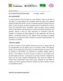 Comprension lectora ¿Por qué tiembla?