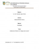 Análisis de la película un milagro para lorenzo