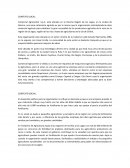 Administracion de empresas Comercial Agrocenter S.P.A