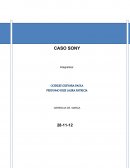 Caso sony