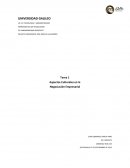 Tarea 1 Aspectos Culturales en la Negociación Empresarial
