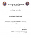 Evidencia 1: “La importancia de la Bioquímica en la Odontología”