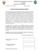 Acta instalacion de comite y bases