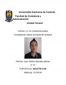 Aplicar principios de auditoria