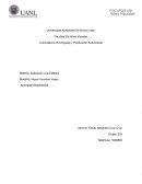 Aplicacion de la estetica