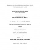 Reporte de Observación